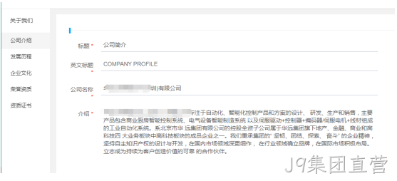 企业网站开发