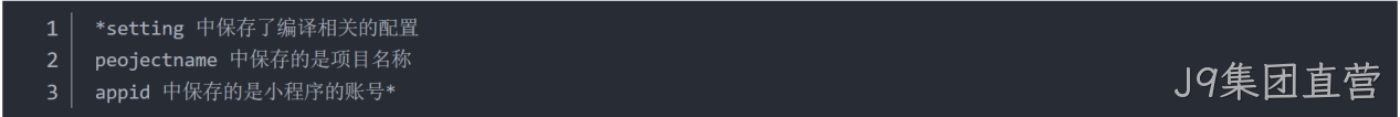  JSON 配置文件