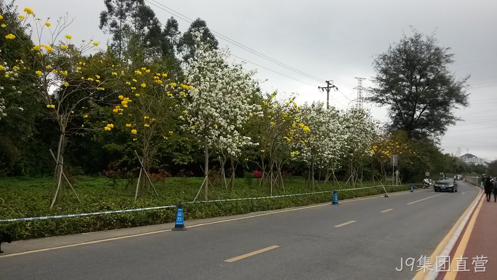 J9集团直营仙湖行