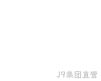 网站开发